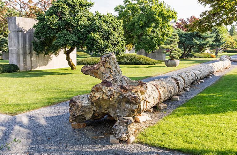 Enea Baummuseum | garten.ch